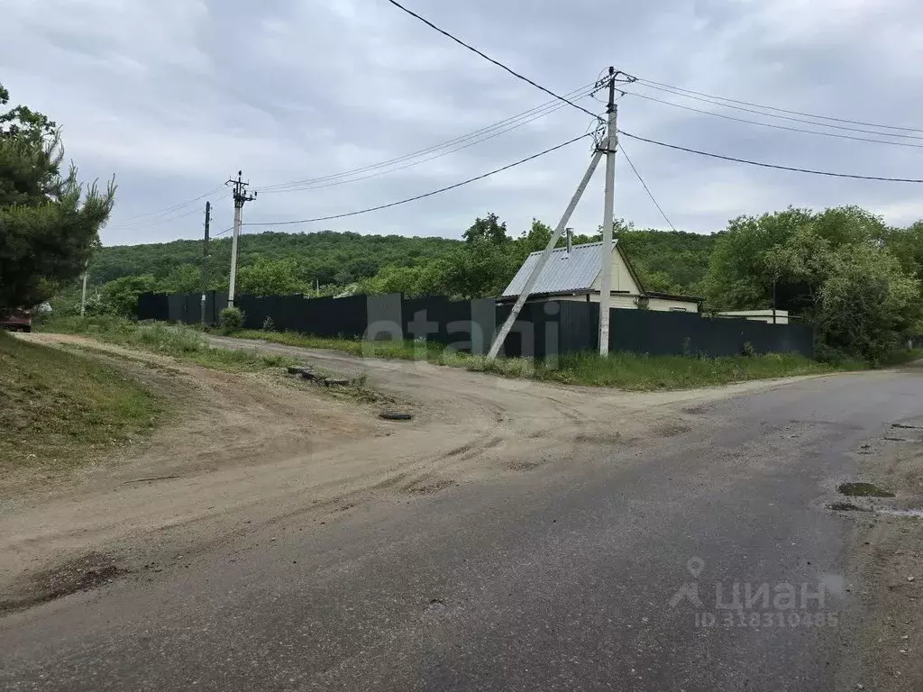 Участок в Амурская область, Благовещенск Амуравтотранс садовое ... - Фото 1