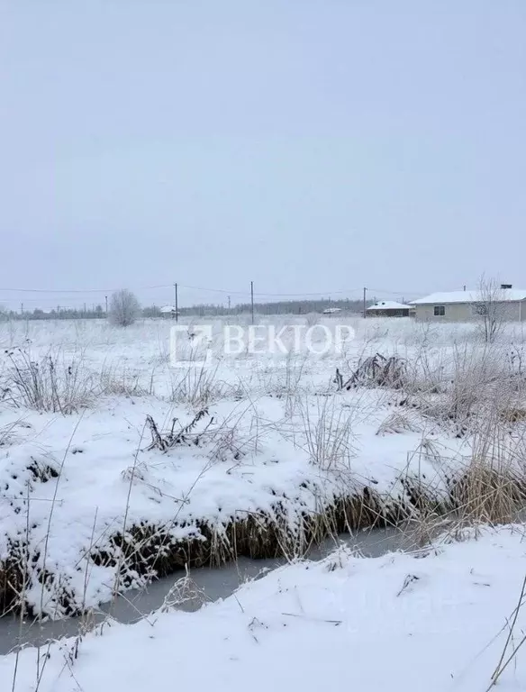 Участок в Костромская область, Кострома Первый кп, проезд Калязинский ... - Фото 2