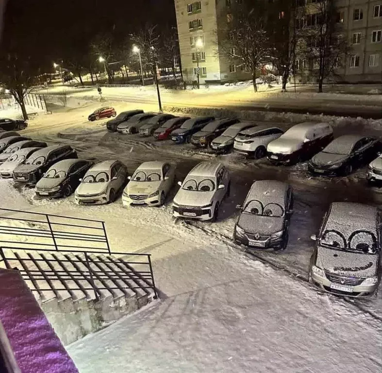 Гараж в Татарстан, Казань просп. Победы, 139к1 (14 м) - Фото 1