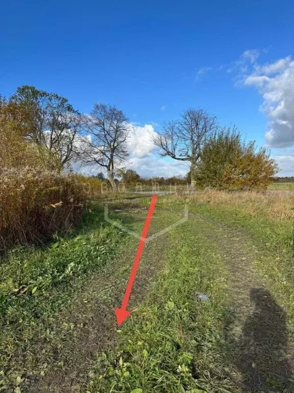 Участок в Калининградская область, Гурьевский муниципальный округ, ... - Фото 1