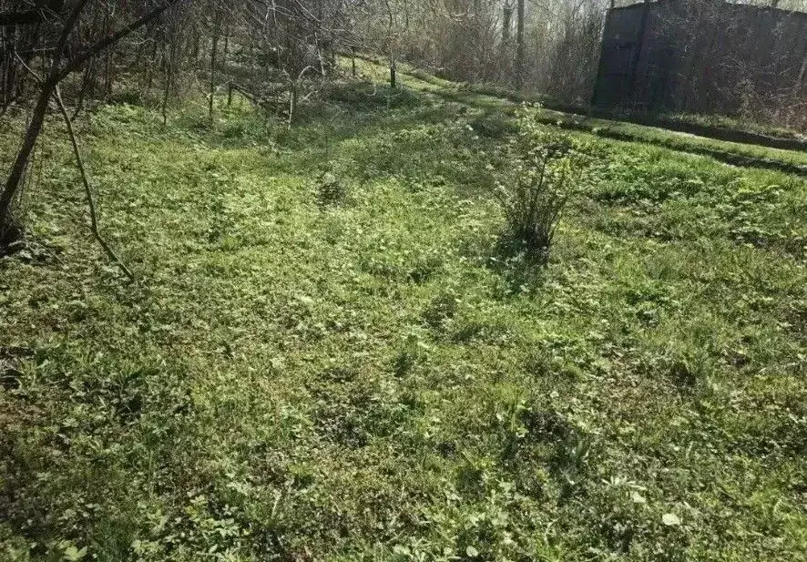 Участок в Нижегородская область, Нижний Новгород Маяк СТ,  (5.5 сот.) - Фото 2