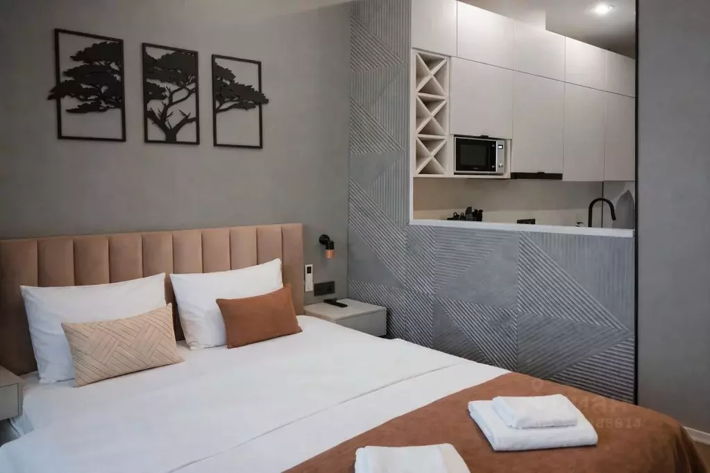 Студия Крым, Ялта ул. Войкова, 39Ак2 (28.0 м) - Фото 1