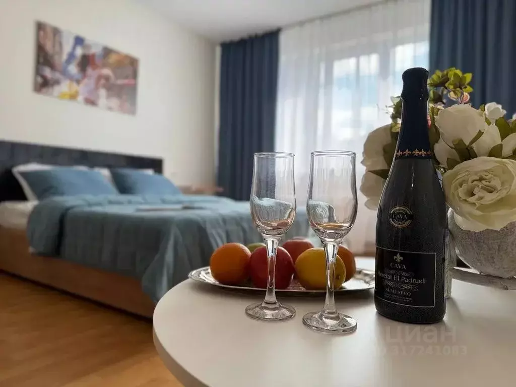 1-к кв. Нижегородская область, Нижний Новгород ул. Родионова, 165к3 ... - Фото 1