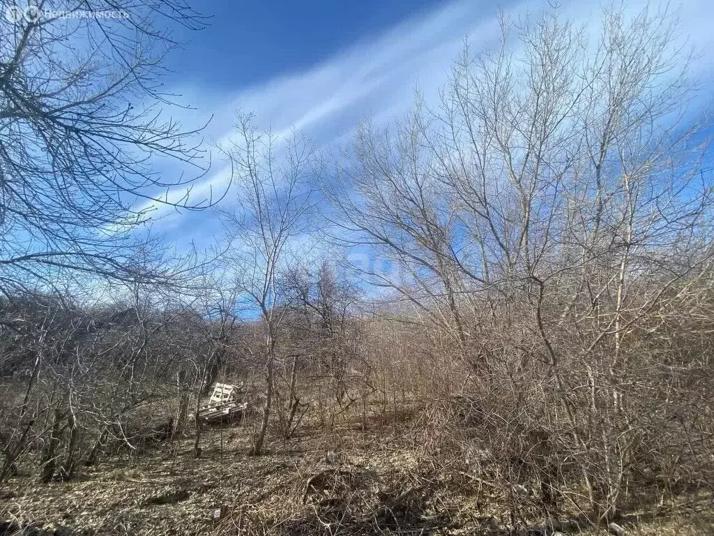 Участок в Ульяновск, СНТ Береговой (5.2 м) - Фото 1