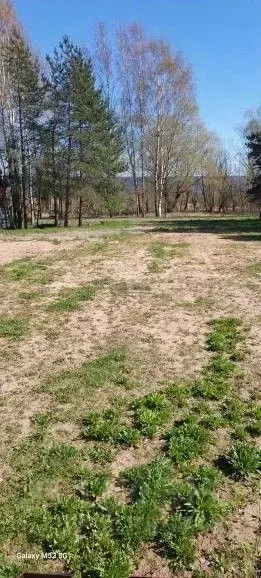 Участок в Новгородская область, Новгородский район, Ракомское с/пос, ... - Фото 0