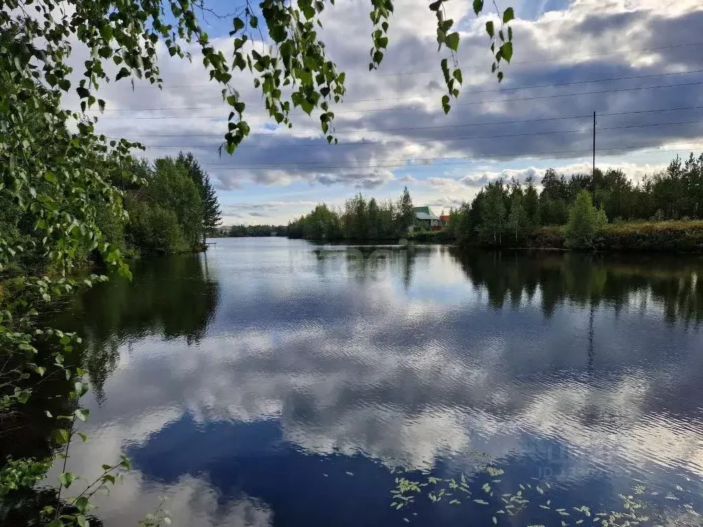 Участок в Ханты-Мансийский АО, Сургут Полимер садовое товарищество, ... - Фото 0