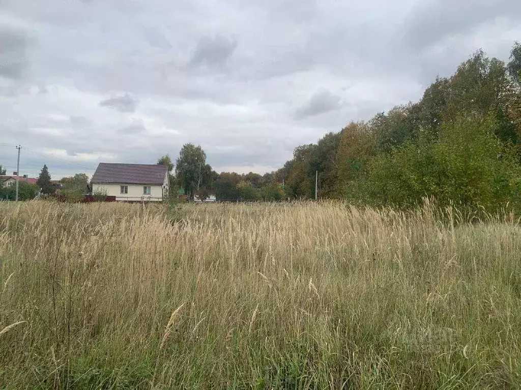 Участок в Московская область, Воскресенск городской округ, с. Ачкасово ... - Фото 2