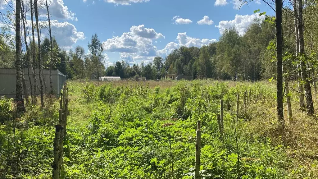 Участок в Московская область, Чехов городской округ, д. Сенино  (5.0 ... - Фото 0