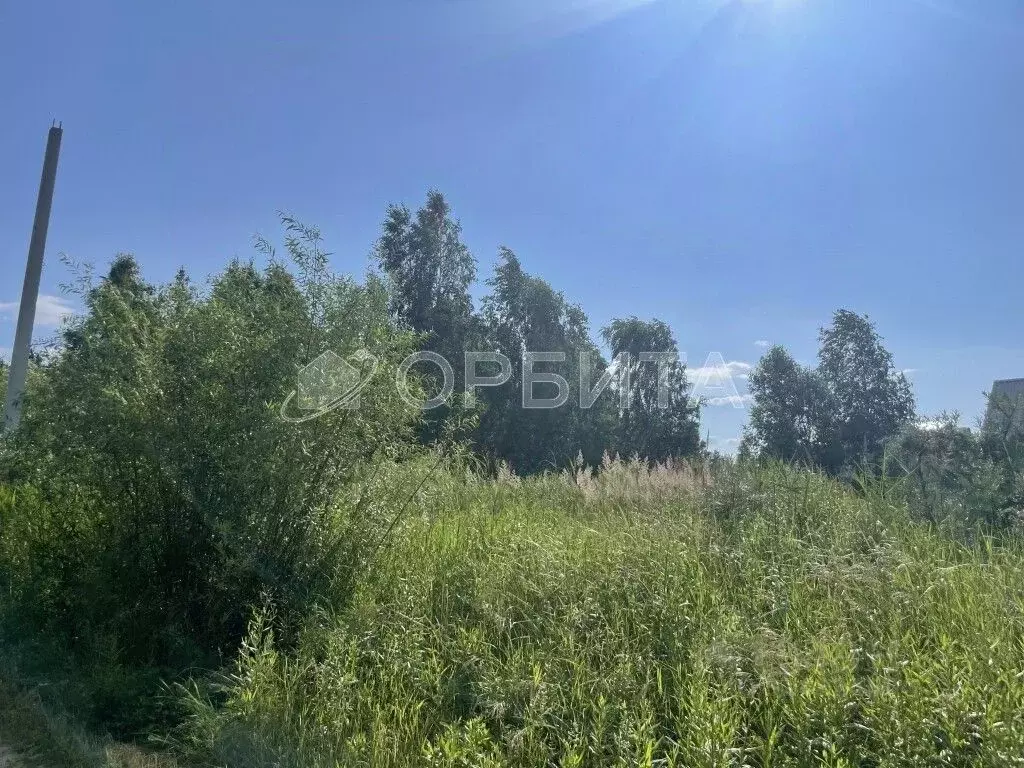Участок в Тюменская область, Тюмень Россиянка садовое товарищество,  ... - Фото 2