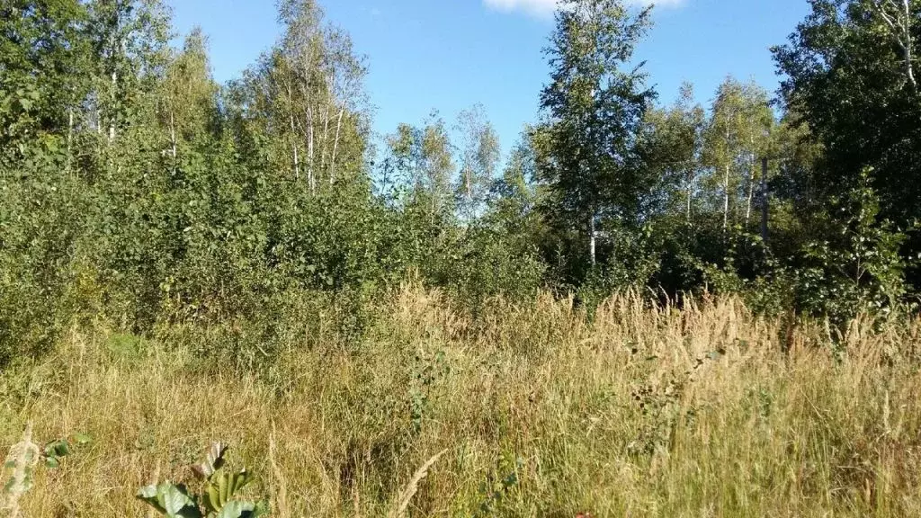 Толвинка брянск карта