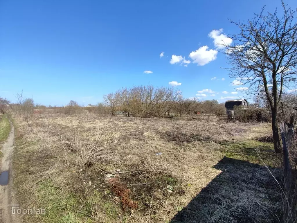 Участок в Брянская область, Брянский район, Снежское с/пос, с. ... - Фото 1