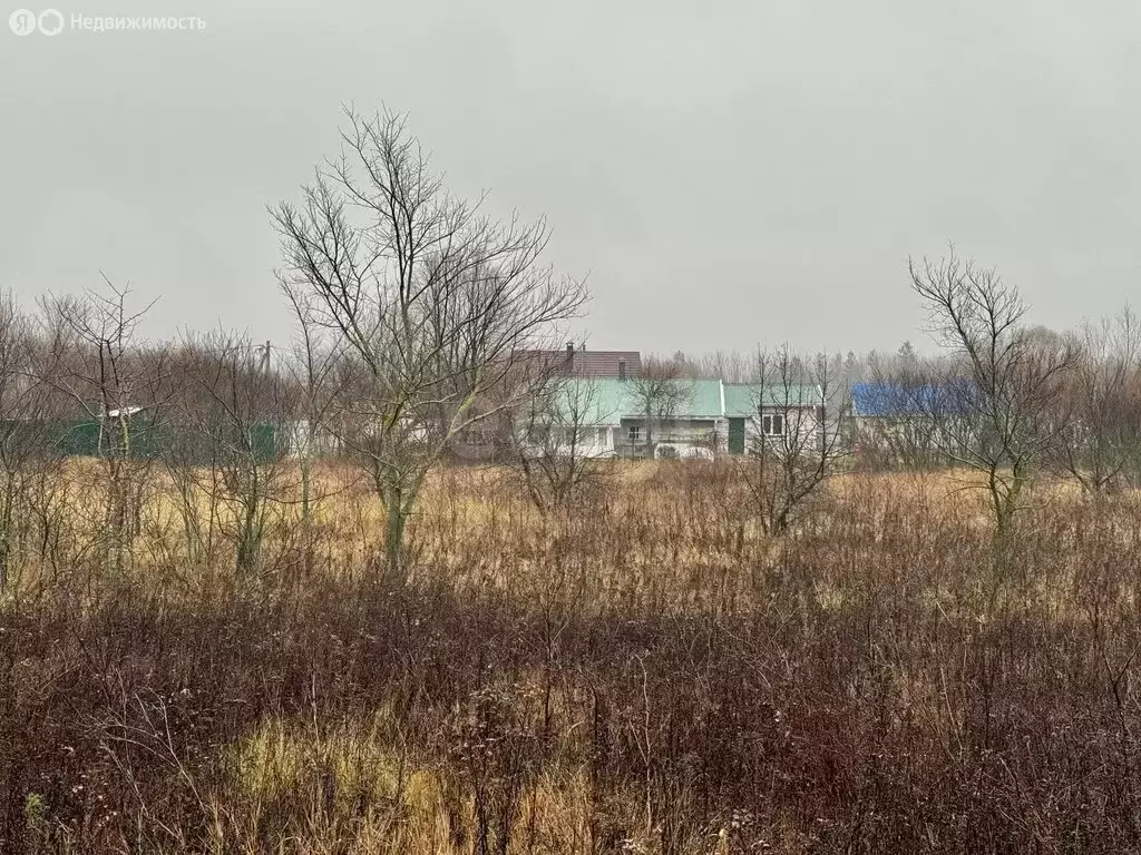 Участок в Новая Усмань, Октябрьская улица, 1 (15.01 м) - Фото 1