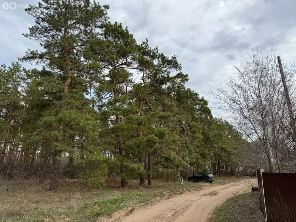 Дом в Энгельсский район, Красноярское муниципальное образование, СНТ ... - Фото 0