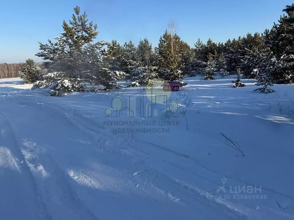 Участок в Иркутская область, Иркутский муниципальный округ, пос. ... - Фото 1