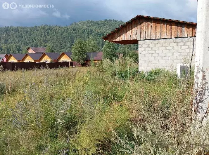 Участок в Чемальский район, село Чемал (11 м) - Фото 0