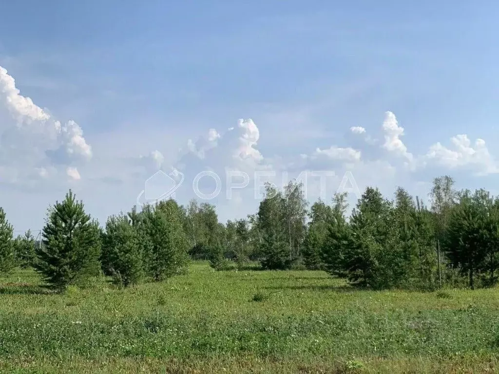 Участок в Тюменская область, Тюменский муниципальный округ, с. ... - Фото 1