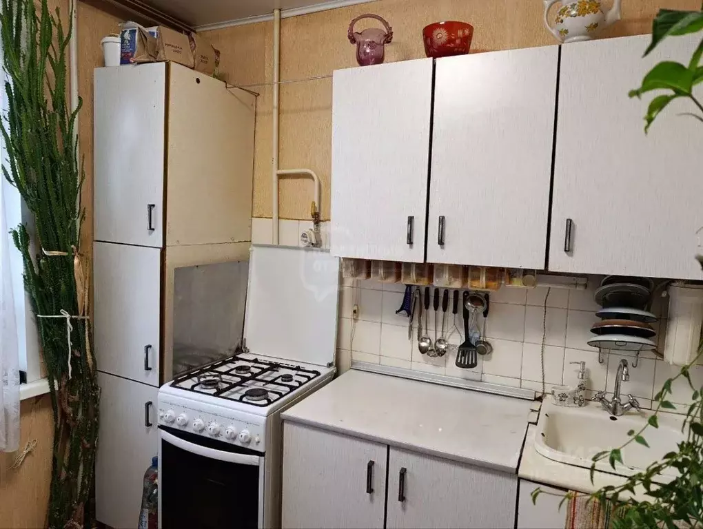 1-к кв. Владимирская область, Владимир ул. Лакина, 193 (32.6 м) - Фото 1