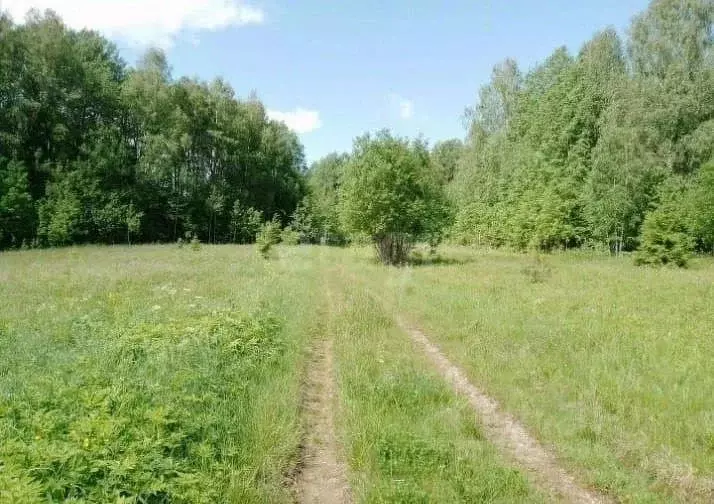 Участок в Костромская область, Чухломский район, Повалихинское с/пос, ... - Фото 2