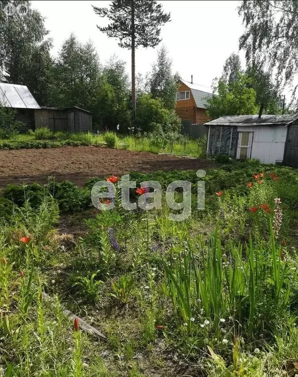 Дом в Ухта, территория Дальний, СНТ Аэрофлот (36 м) - Фото 1