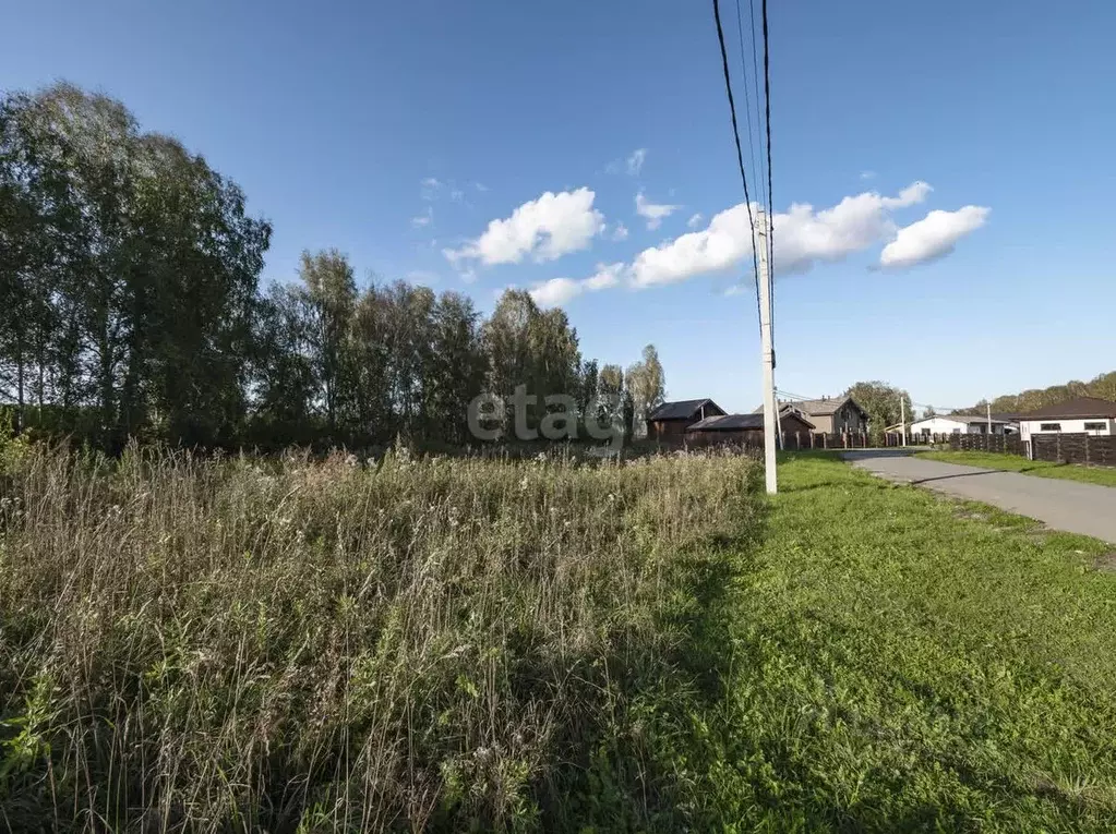 Участок в Новосибирская область, Новосибирский район, Кубовинский ... - Фото 1