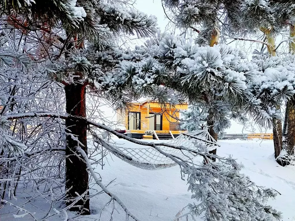 Дом в Иркутская область, Иркутский муниципальный округ, Кедровое СНТ  ... - Фото 1