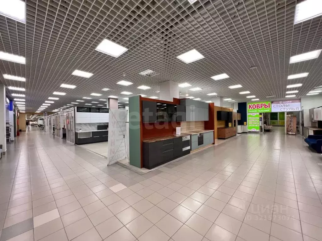 Торговая площадь в Тюменская область, Тюмень ул. 30 лет Победы, 7/5 ... - Фото 1