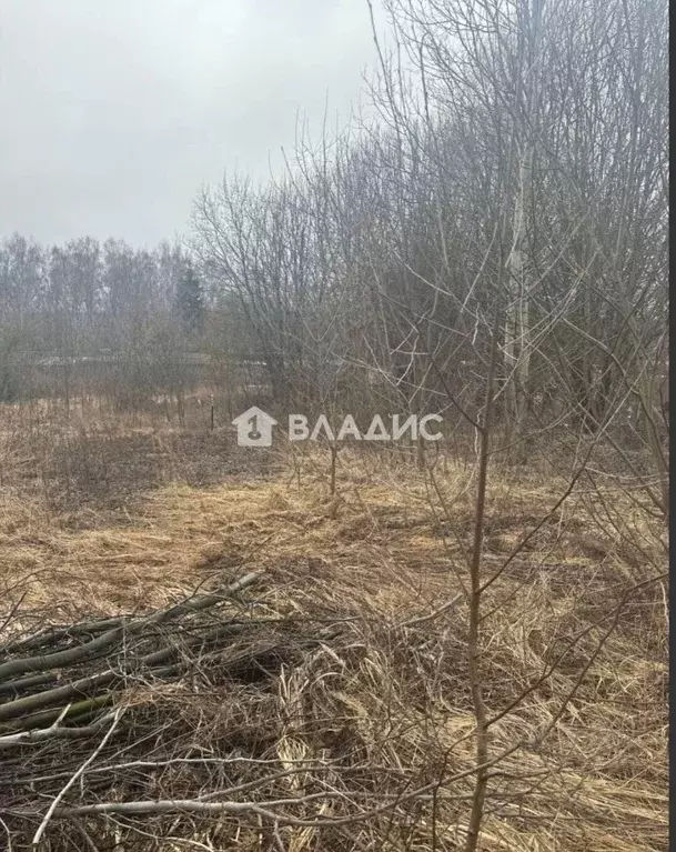 Участок в Владимирская область, Лакинск г. Собинский муниципальный ... - Фото 1