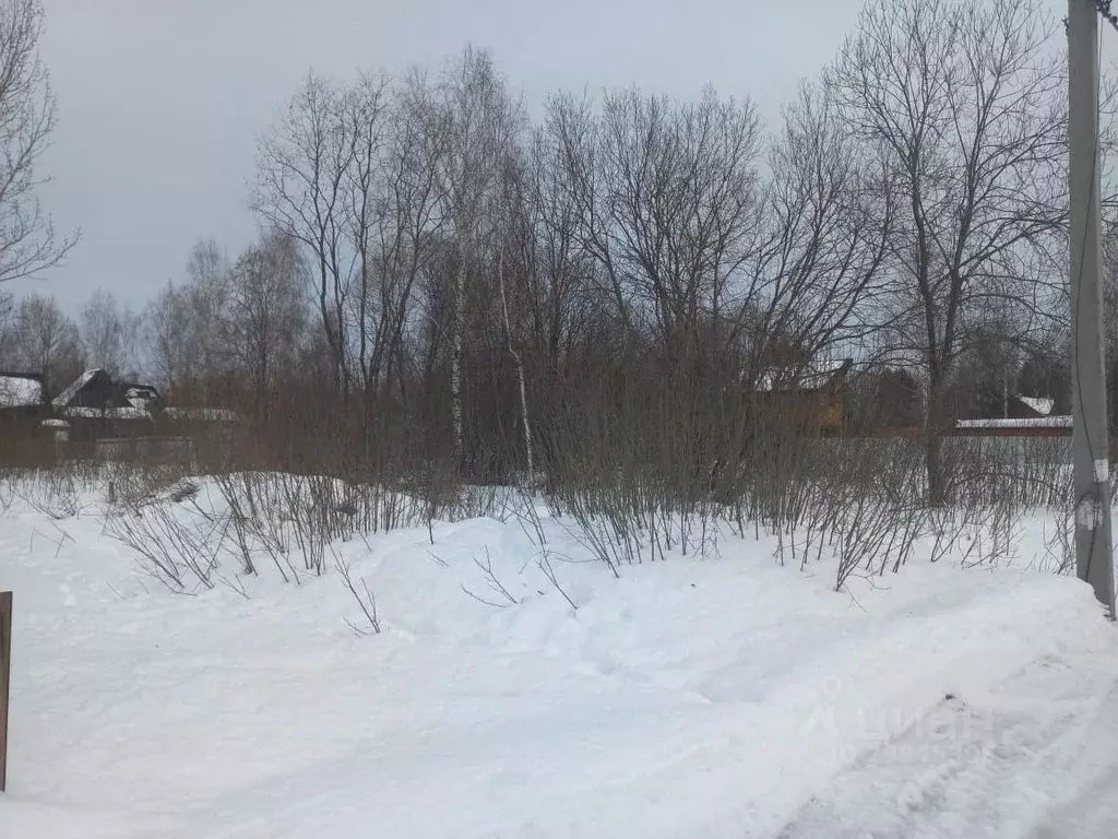 Участок в Тверская область, Конаковский муниципальный округ, Козлово ... - Фото 1