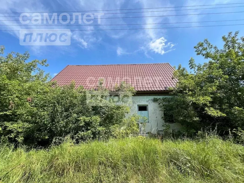 Дом в Рязанская область, Шиловское городское поселение, с. Борок ул. ... - Фото 0