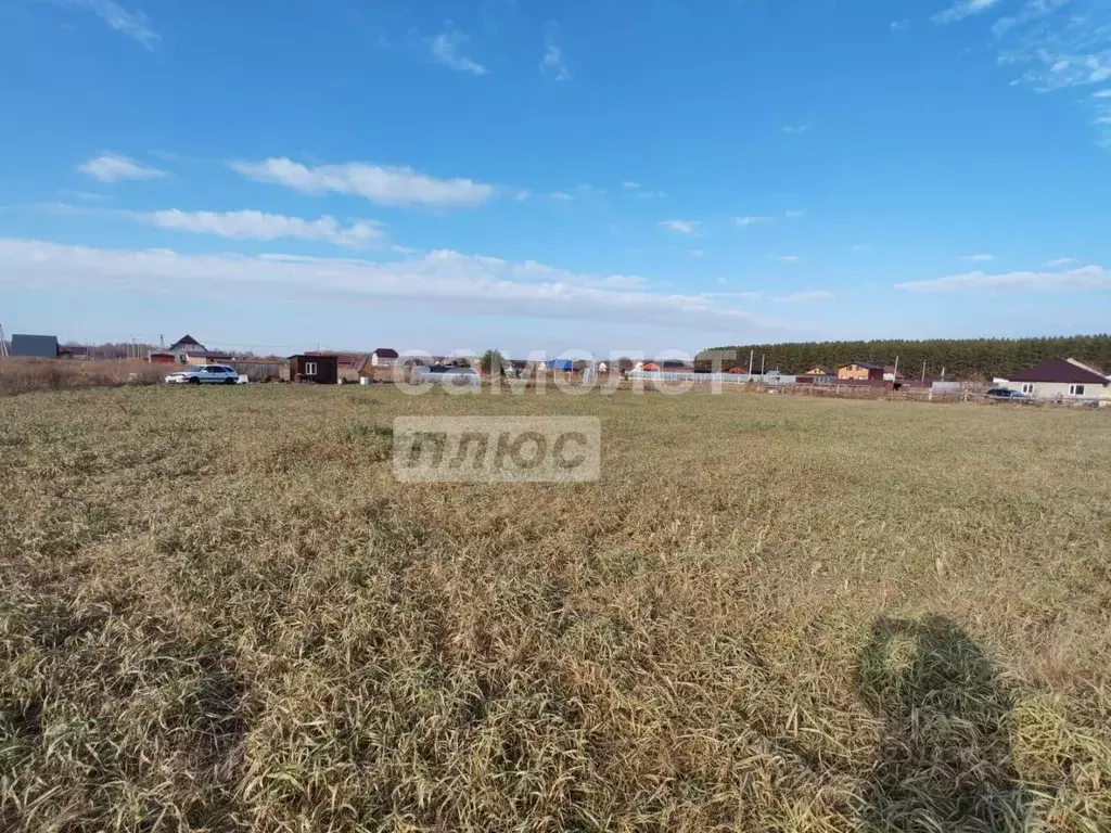 Участок в Алтайский край, Зональный район, пос. Мирный ул. Юбилейная, ... - Фото 2