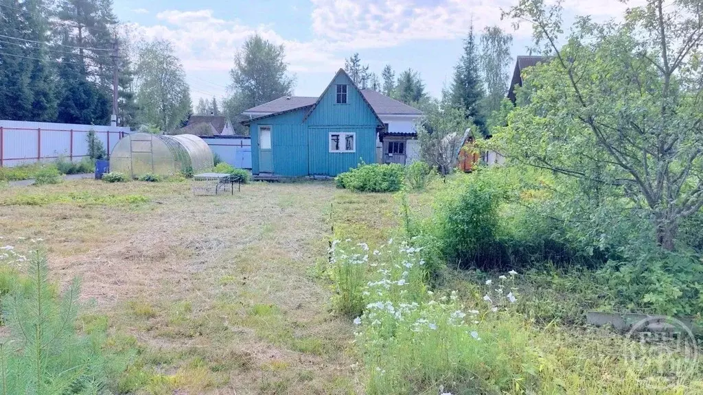 Участок в Ленинградская область, Выборгский район, Рощинское городское ... - Фото 1