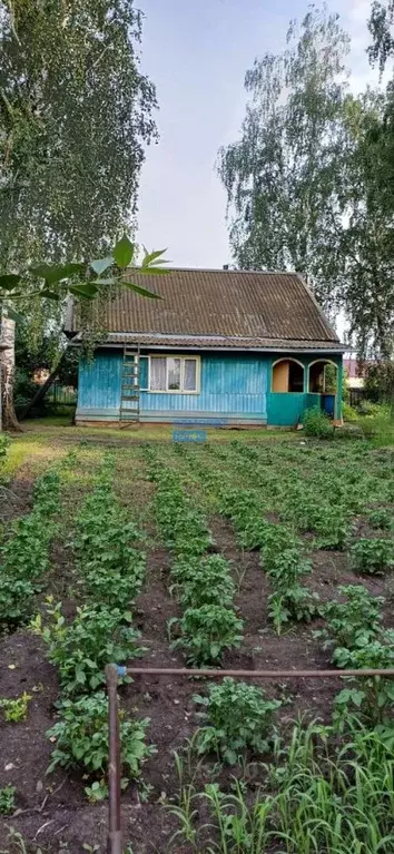 Дом в Алтайский край, Бийский район, с. Малоенисейское Новая ул. (51 ... - Фото 1