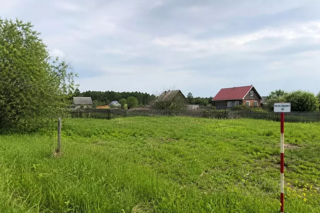 Участок в Калининградская область, Гусевский городской округ, пос. ... - Фото 1
