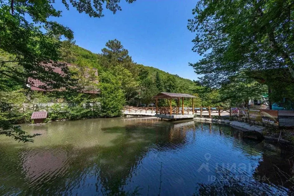 Помещение свободного назначения в Краснодарский край, Геленджик ... - Фото 2