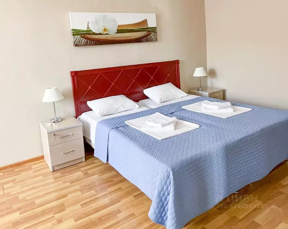 Комната Краснодарский край, Сочи ул. Гастелло, 40Б (50.0 м) - Фото 1