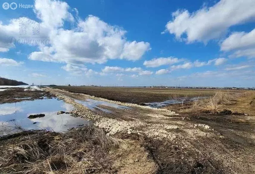 Участок в село Девица, улица Мира (8 м) - Фото 1