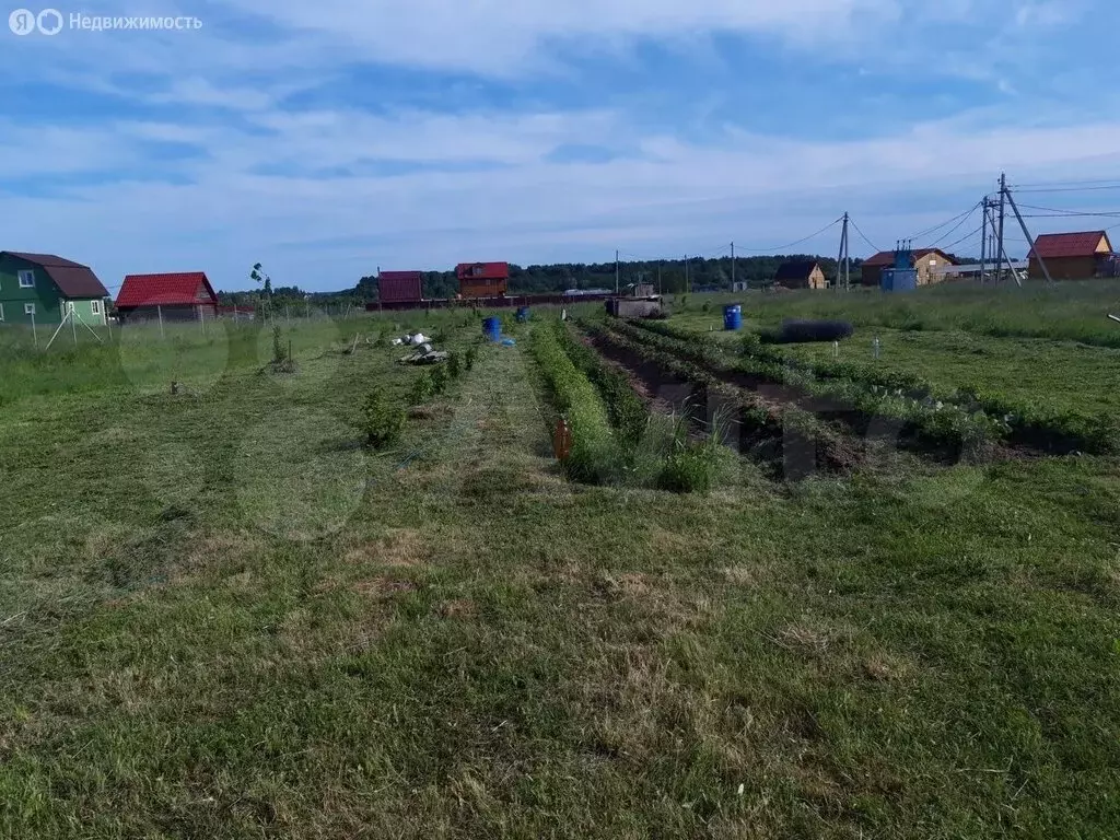 Участок в деревня Бор, Центральная улица (30 м) - Фото 0