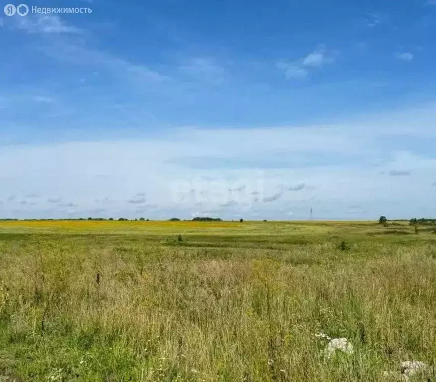Участок в Оренбург (10781 м) - Фото 2