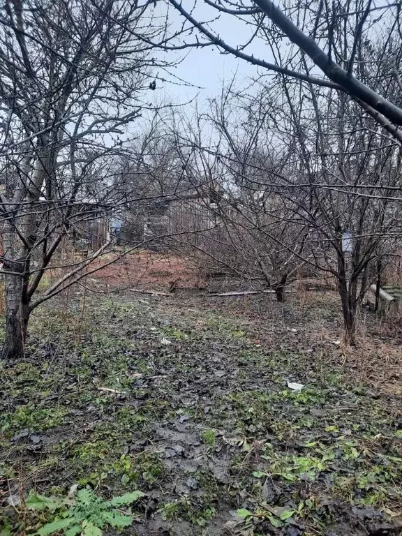 Участок в Ростовская область, Ростов-на-Дону ул. 30-летия Октября, 44 ... - Фото 1