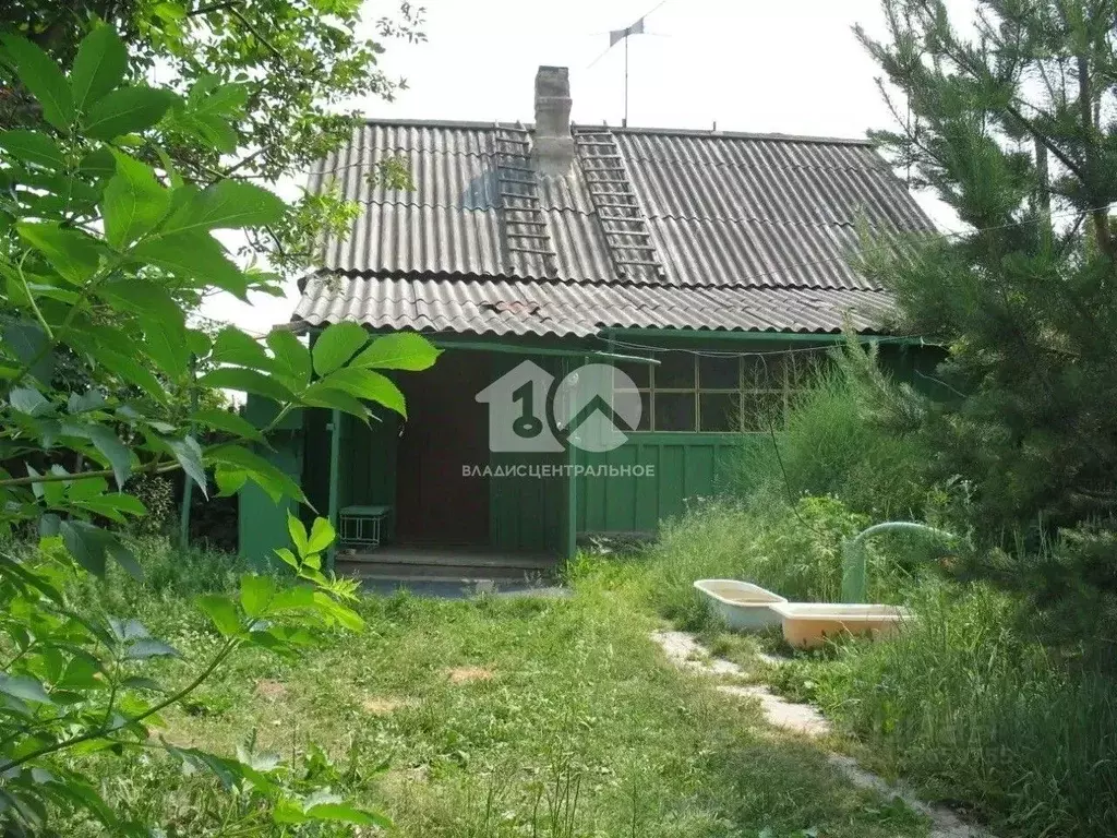 Участок в Новосибирская область, Мошковский район, с. Новомошковское ... - Фото 2