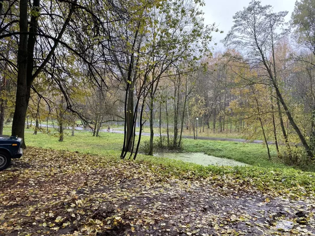 2-к кв. Московская область, Красногорск Железнодорожная ул, 28 (44.2 .,  Купить квартиру в Красногорске, ID объекта - 30070392192