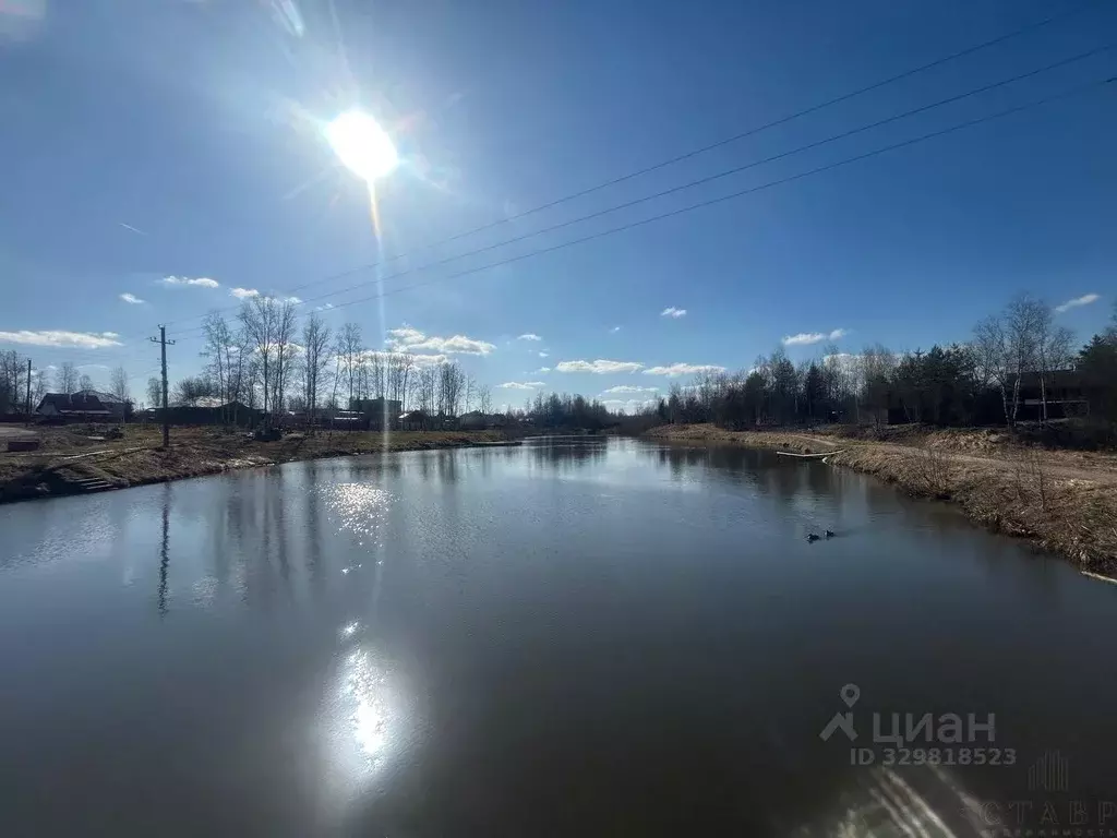 Участок в Ленинградская область, Ломоносовский район, Виллозское ... - Фото 2