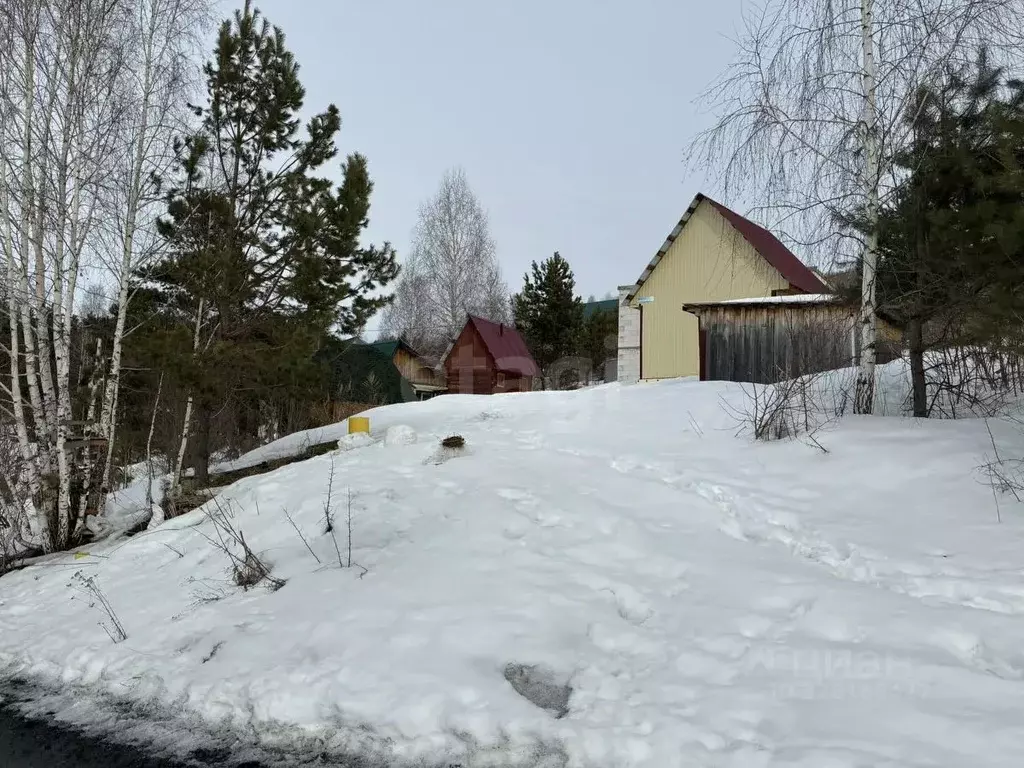 Дом в Алтай, Горно-Алтайск ул. Абрикосовая, 35 (28 м) - Фото 2