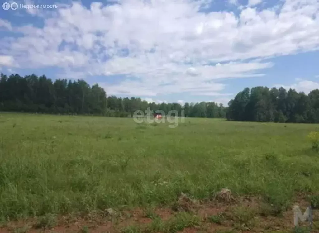 Участок в Красноярский край, городской округ Дивногорск, посёлок ... - Фото 2