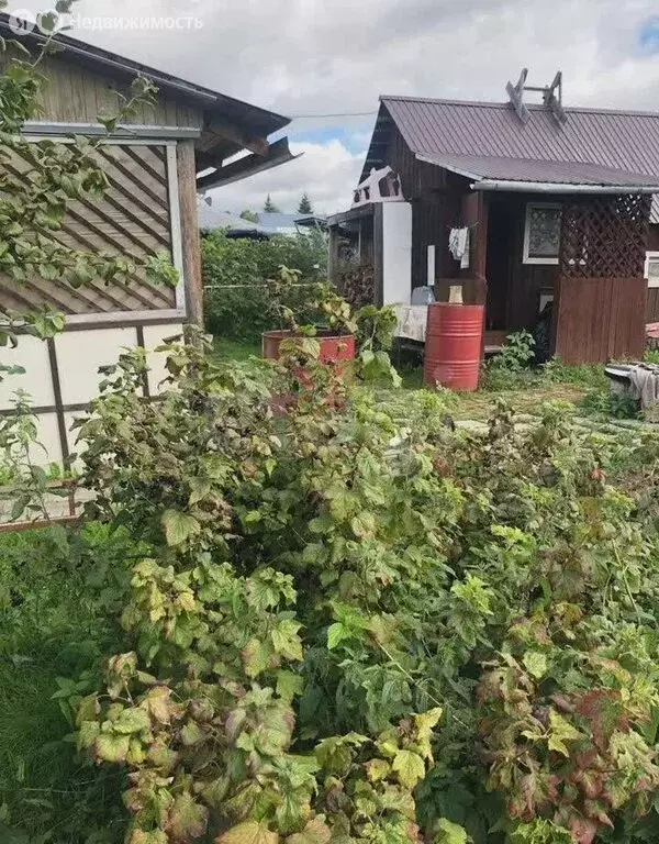 Дом в Кировская область, Юрьянский муниципальный район, Загарское ... - Фото 1
