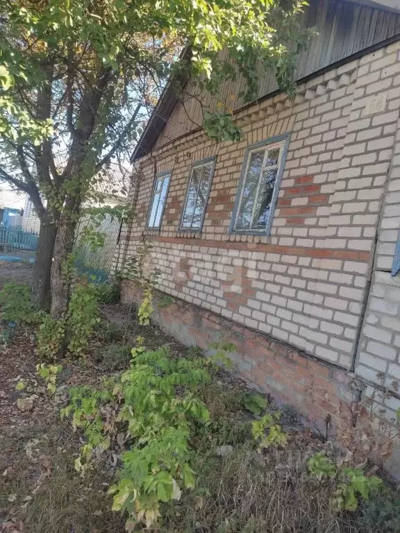 Дом в Белгородская область, Красногвардейский район, Ливенское с/пос, ... - Фото 2