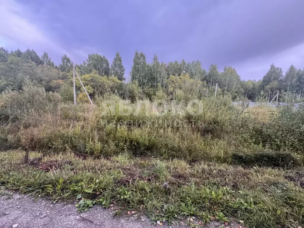 Участок в Пермский край, Березники муниципальный округ, д. Пешково ул. ... - Фото 1