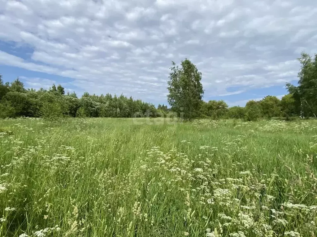 Участок в Московская область, Коломна городской округ, с. Маливо  ... - Фото 0