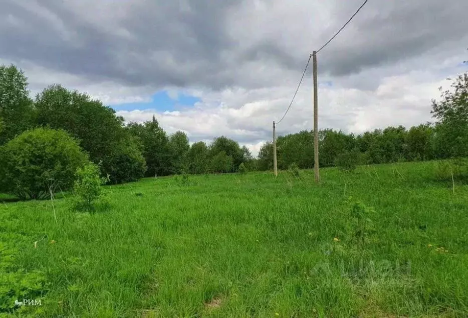 Участок в Вологодская область, Череповецкий район, д. Петраково  (10.0 ... - Фото 1