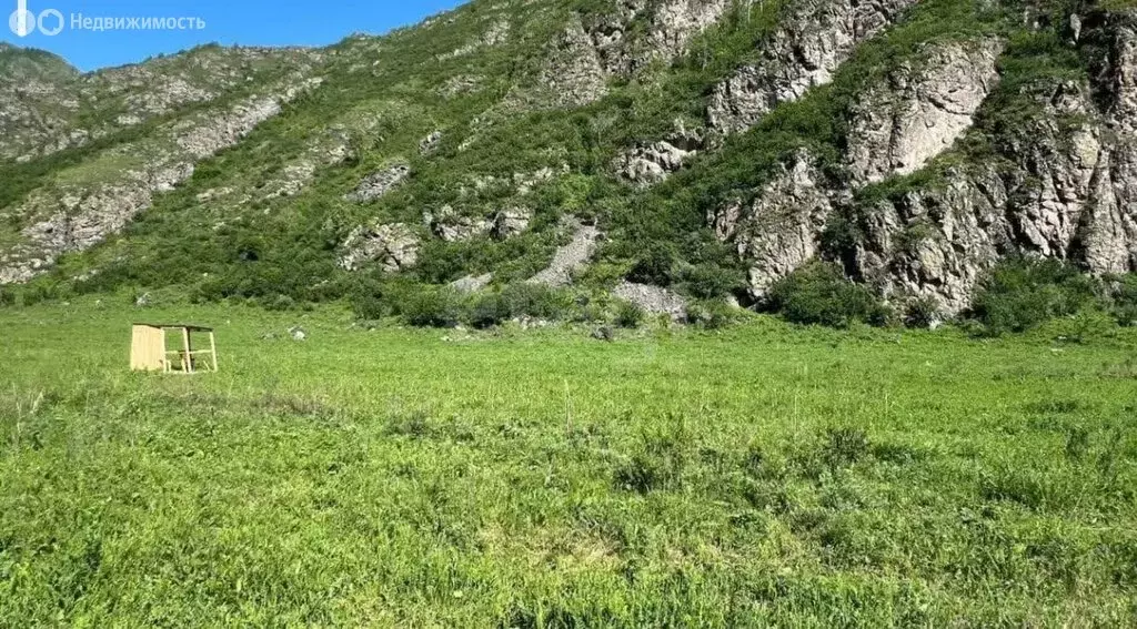 Участок в Чемальский район, село Куюс (16.41 м) - Фото 2